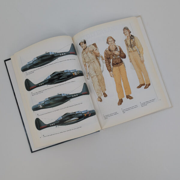 P-61 Black Widow Units of World War 2 - Image 4