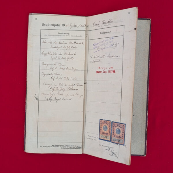 WWII Documents to a Jewish Husband and Wife that Escaped the Holocaust - Image 2
