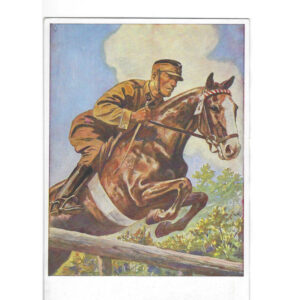 Color SA Equestrian Postcard